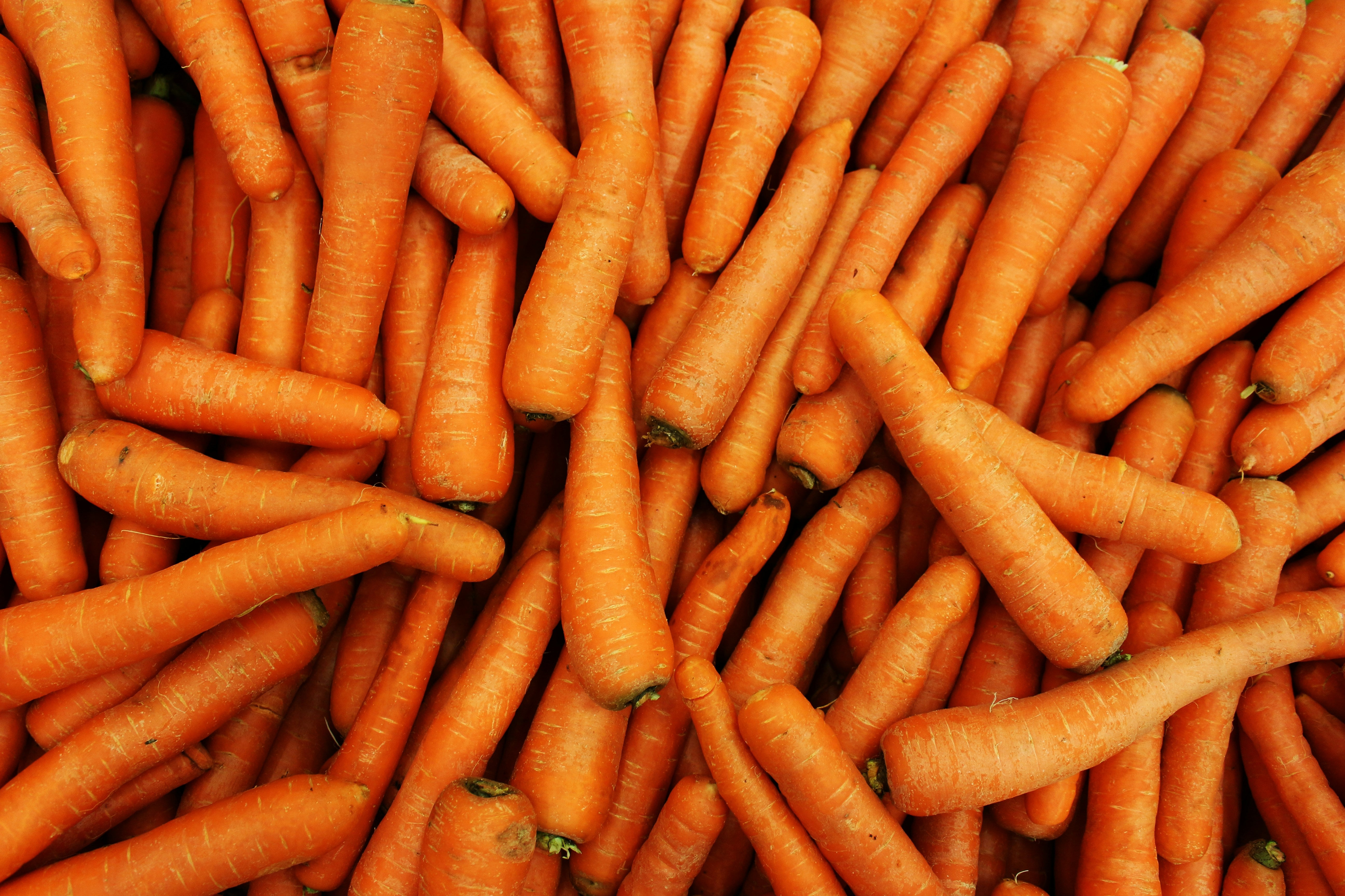 Carrots - 2 lb Bag
