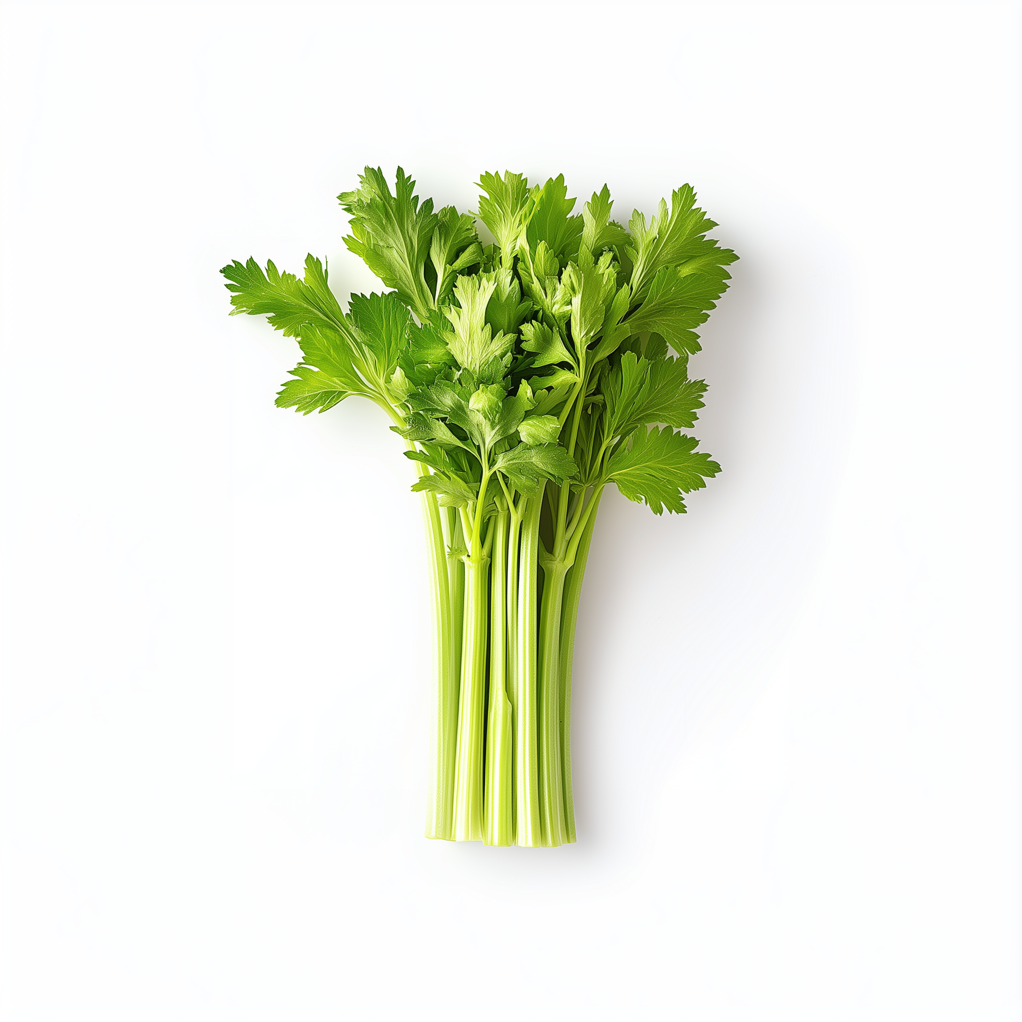 Celery