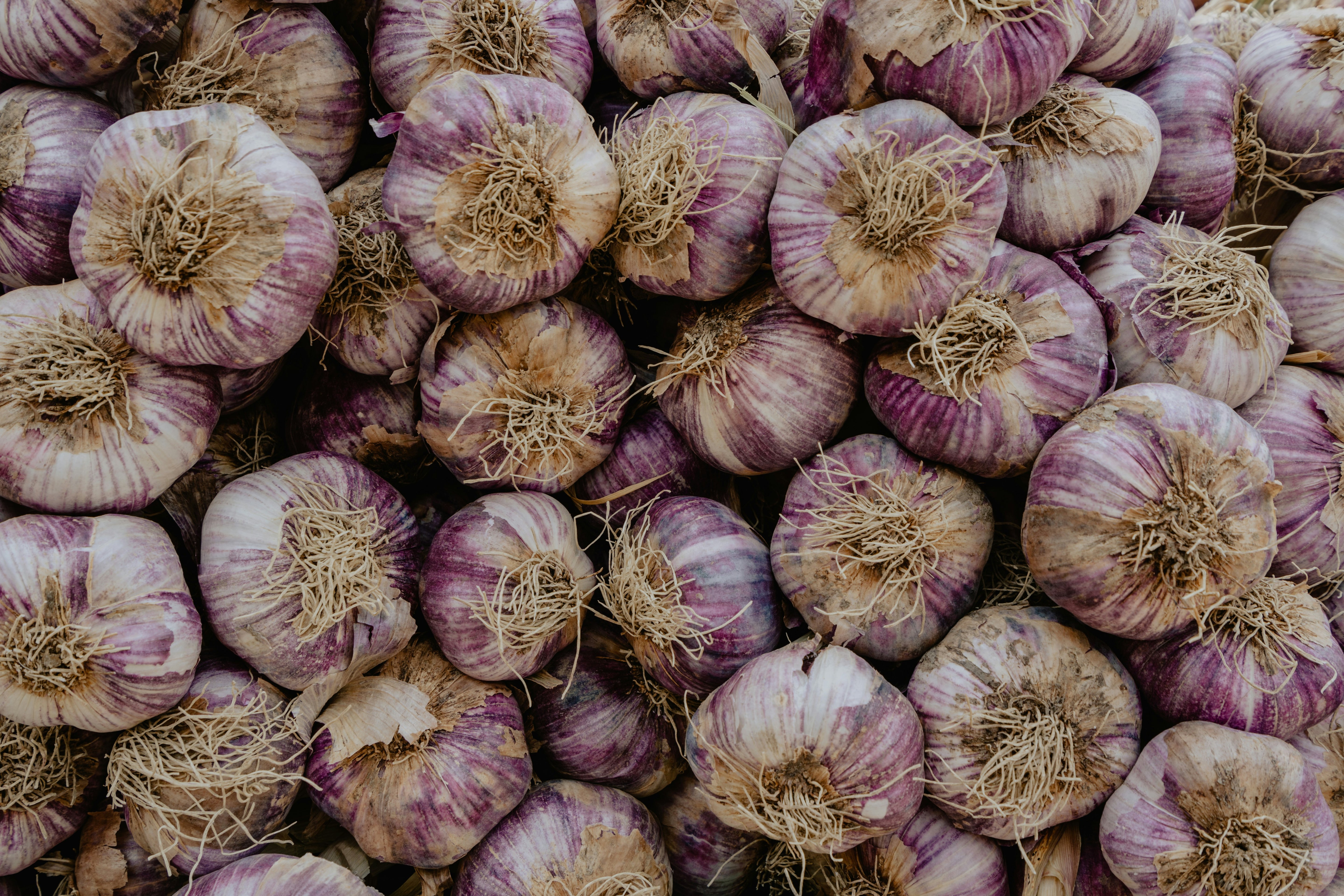 Garlic - 100g/bag