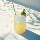 Craft Brewed Lime Kombucha- 330ml (11.6 fl oz)