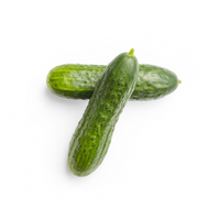 Cucumber