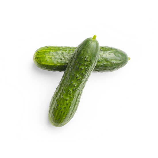 Cucumber