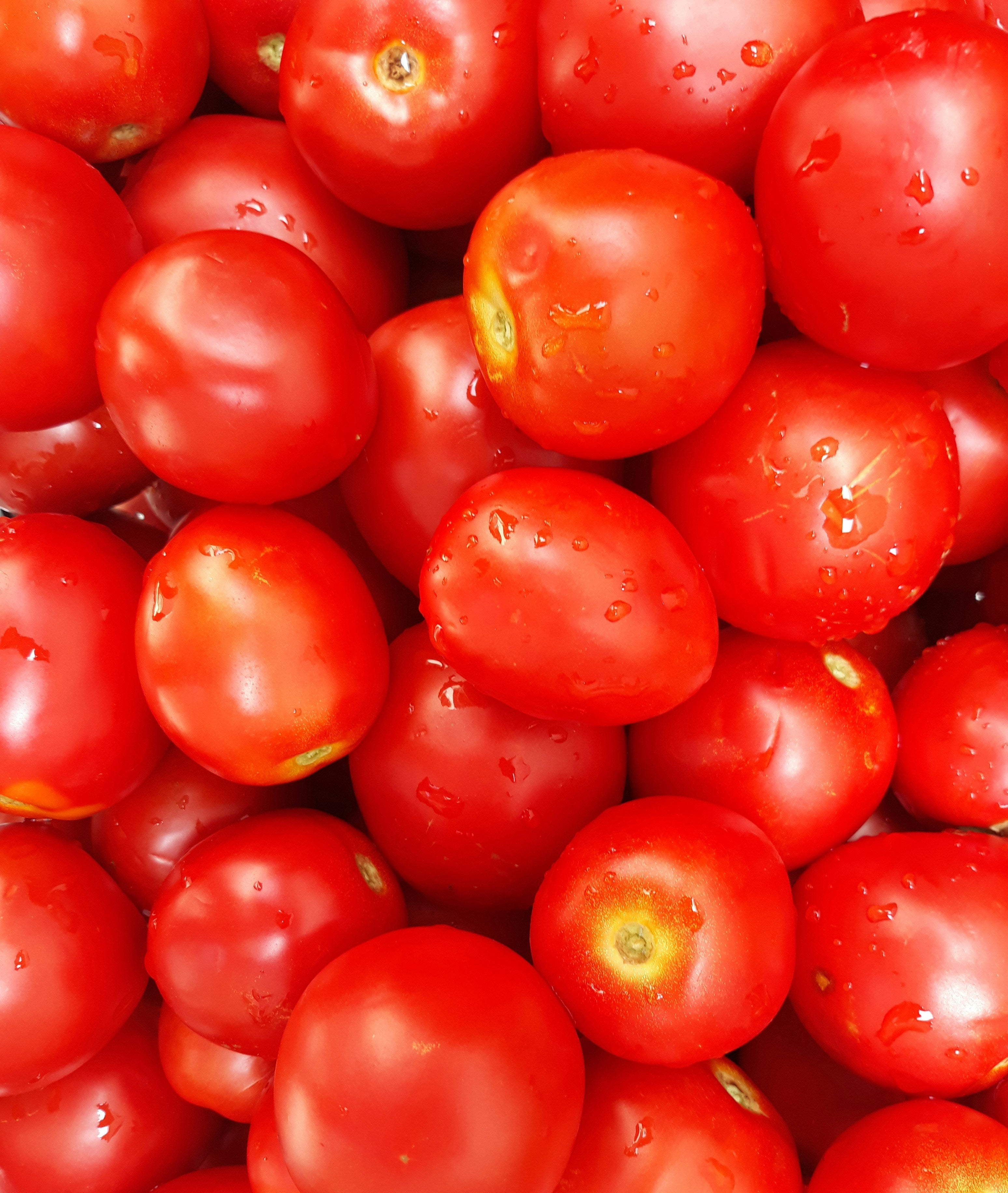 Tomatos